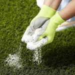 St. Gabriel Milky Spore Powder for Beetle Grubs