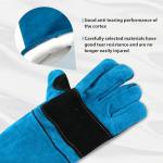 Animal Handling Gloves for Protection and Training