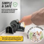 Humane Rat and Chipmunk Traps - 2 Pack