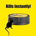 D-Con Hidden Mouse Trap, 6 Pack