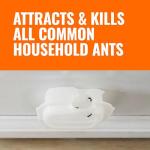 TERRO Indoor Ant Baits with Adhesive Strips - 8 Pack