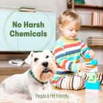 BugMD Indoor Cockroach Killer & Trap - 12 Pack