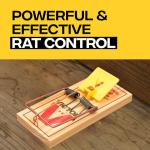 Victor M205-9 Humane Wooden Rat Snap Traps