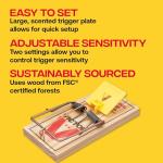 Victor M205-9 Humane Wooden Rat Snap Traps