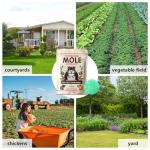 Mole and Gopher Repellent Balls - 8 Pack