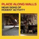 Victor M205-9 Humane Wooden Rat Snap Traps