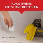 Hot Shot MaxAttrax Ant Bait - 8 Child-Safe Stations