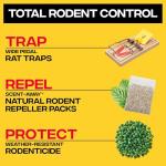 Victor M205-9 Humane Wooden Rat Snap Traps