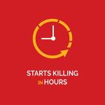 Hot Shot MaxAttrax Ant Bait - 8 Child-Safe Stations