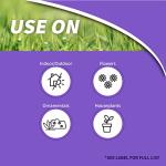 Bonide Houseplant Insect Control Granules, 8 oz