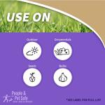 Bonide MOLEMAX Mole & Vole Repellent Granules