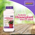 Bonide Houseplant Insect Control Granules, 8 oz