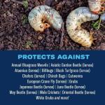 BioAdvanced Grub Control and Turf Revitalizer 12 lb