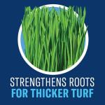 BioAdvanced Grub Control and Turf Revitalizer 12 lb