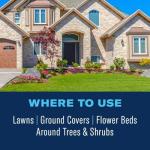 BioAdvanced Grub Control and Turf Revitalizer 12 lb