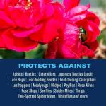 BioAdvanced 3-in-1 Pest Control Spray 24 oz