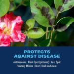 BioAdvanced 3-in-1 Pest Control Spray 24 oz