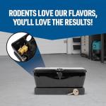 Peanut Butter Flavor Rodent Bait Blocks - 4 lb