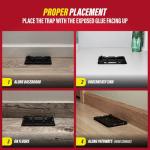 Catchmaster 16 Heavy-Duty Mouse & Insect Traps