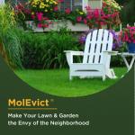 Baar MolEvict Castor Oil for Lawn Mole Control