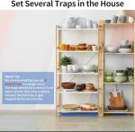 LULUCATCH 10-Pack Heavy-Duty Mouse Traps