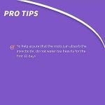 Bonide Insect Control Granules for Lawn & Garden