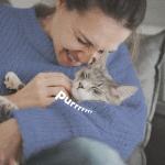 ADAMS Plus Flea & Tick Shampoo for Pets