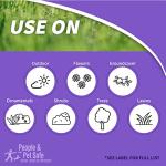 Bonide 603 Annual Grub Killer – 6 lb