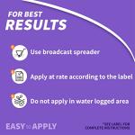 Bonide 603 Annual Grub Killer – 6 lb