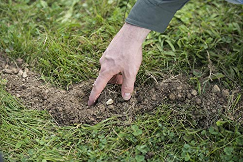 Tomcat Mole Killer: 10 Worms, Single Feeding, Natural