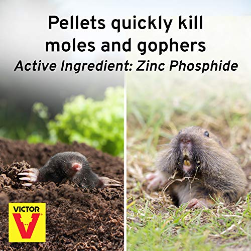 Victor M6006 Outdoor Mole & Gopher Poison Peanuts