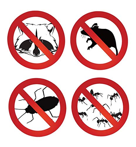 Rodent Sheriff Peppermint Oil Repellent | Fast Pest Control