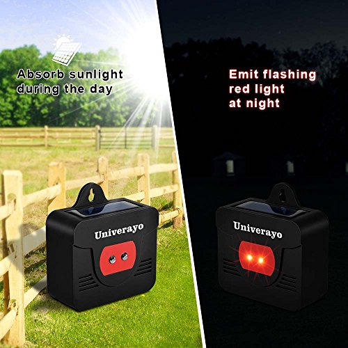 Solar-Powered Animal Repellent Light - 2 Pack
