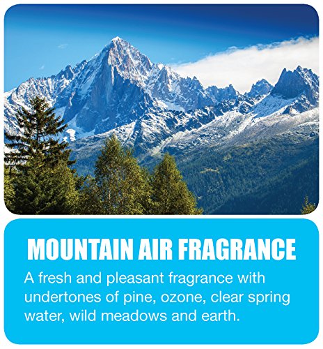 Big D Odor Control Fogger, Mountain Air, 12-Pack