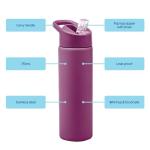 Smash Stainless Steel Water Bottle with Flip Top Lid and Straw - Mulberry 750ml