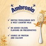 Ambrosia Low Fat Porridge Pots, Ready-to-Eat Golden Syrup Flavour With British Wholegrain Oats, 210 g (Pack of 6)