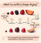 BRIX Freeze Dried Strawberry Halves | 100% Natural Dried Strawberries 75g | Great Taste Award Dried Fruit | Non-GMO, Gluten Free, Vegan & Vitamins Retained