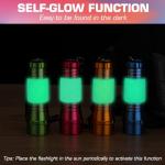 EverBrite 4-Pack Small LED Torches, Batteries Included, Thick-Walled Aluminium Pocket Flashlight Set for Party Favours, Camping, Gifts, and Emergency Use