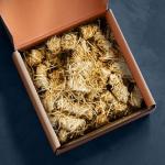 200 Firelighters - Ecoblaze Natural Firelighters | Fast lighting & Odourless, Fire Lighters For Wood Burners & BBQ Ovens, Stoves & Fireplaces