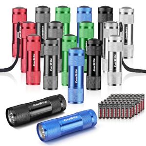 EverBrite 18-Pack LED Mini Pocket Torch, Small Keyring Torches Flashlight, Ideal for Camping Hiking Traveling Cycling Outdoors Party, Batteries Included