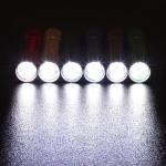 EverBrite 18-Pack LED Mini Pocket Torch, Small Keyring Torches Flashlight, Ideal for Camping Hiking Traveling Cycling Outdoors Party, Batteries Included