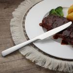 Amazon Basics Stainless Steel Dinner Knives With Square Edge, Pack of 12, Silver