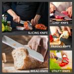 craverix All Purpose Professional Kitchen Knife Set, 5 Piece Sharp Kitchen Knives - Stainless Steel Blades with TPR Handles (Colored)- Pizza Bread Cheese, Gift Set