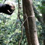 Emergency Survival Kit - 22 in 1 Outdoor Bushcraft Equipment - Molle Tactical Pouch - Camping Hiking Hunting Gear