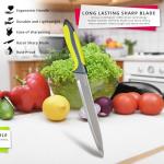 craverix All Purpose Professional Kitchen Knife Set, 5 Piece Sharp Kitchen Knives - Stainless Steel Blades with TPR Handles (Colored)- Pizza Bread Cheese, Gift Set