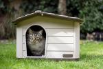 Rosewood Outdoor Cat, Dog and Rabbit House, Pet Kennel and Shelter - Brown
