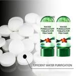 Powerful Aquarium Water Purification Tablet,Water Purification Tablets for Fish Tank,Remove All Kinds of Turbidity from Fish TankWater (2PC)
