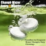 LeoTube Advanced Water Purification Tablets for Easy Rowing Machine Tank Maintenance | Gentle Yet Effective Formula for Water Cleaning and Treatment in Rowing Machines (12)