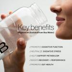 Molecular H2TAB Hydrogen Water Tablets with Magnesium -12 PPM Hydrogen Tablets for Drinking Water -Rich in Antioxidants, Supports Cellular Health, Recovery & Cognitive Function (30 Counts, Raspberry)