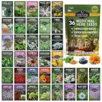 Ultimate Medicinal Herb Seeds Variety Pack – 36 Heirloom Non-GMO Healing Herbs for Planting | Wellness & Apothecary Garden Kit for Herbalists, Homesteaders – Survival Garden Seeds (28,000+)